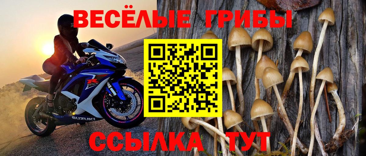 Псилоцибиновые грибы MAGIC MUSHROOMS  Галлюциногенные грибы GOLDEN TEACHER  как найти закладки  Вход с VPN  Искитим 