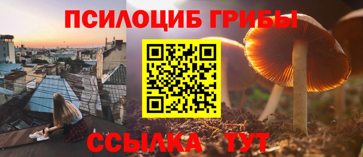 Галлюциногенные грибы MAGIC MUSHROOMS Искитим